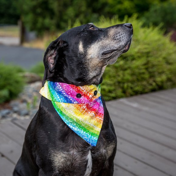 Fancy Pet Scarf Dog Bandana Tie Dye Button Neck - Picture 1 of 1